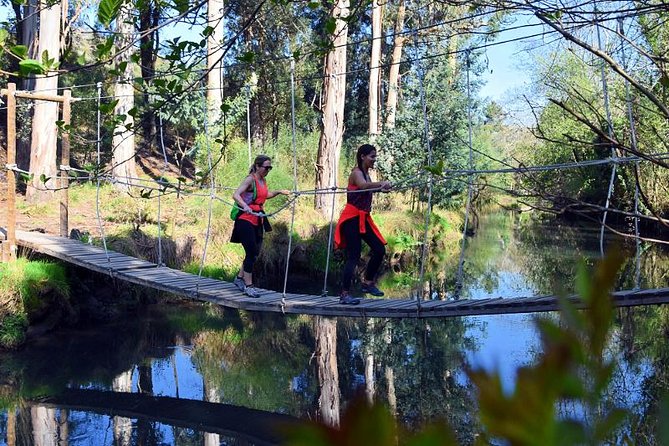 Half-day Hike & Picnic with Dog Love in Porto's Mountains - Three hours through Serras do Porto Park