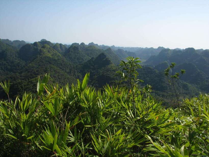Half Day Hiking to Cat Ba National Park with a Guide - Key points to know before you go