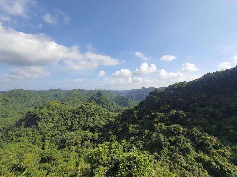 Half Day Hiking to Cat Ba National Park with a Guide - A half-day that shows Cat Ba beyond the bay
