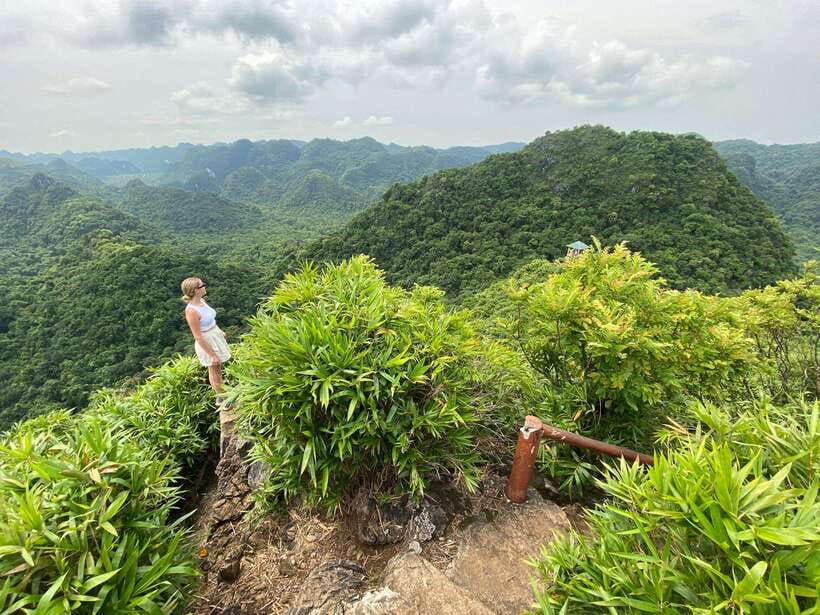 Half Day Hiking to Cat Ba National Park with a Guide - Hiking through Cat Ba National Park to Ngu Lam Peak