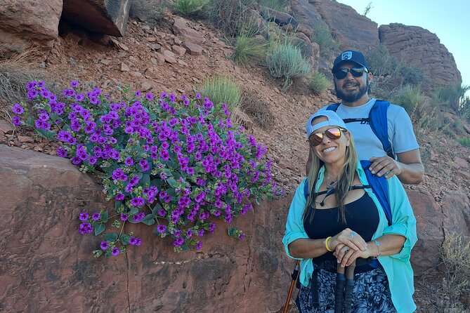Half-Day Private Grand Canyon Guided Hiking Tour - Bright Angel, Grandview, and the wider South Rim