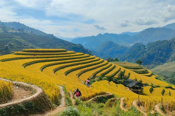 Half Day Private Trekking Mu Cang Chai_Morning or Afternoon - What the four to five hours include