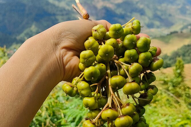 Half Day Private Trekking Mu Cang Chai_Morning or Afternoon - Meeting Hmong families through the walk