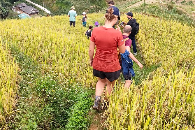 Half Day Private Trekking Mu Cang Chai_Morning or Afternoon - Why the small group matters