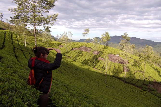 Half day trekking (munnar valley Trekking & Tours ) - How hard is this Munnar trek?