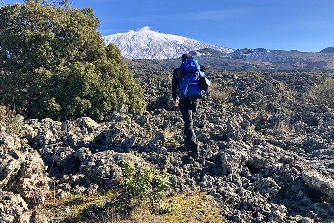 Half or full day trekking on Etna with private guide - The full-day hike is a real physical challenge