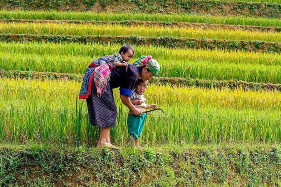 Hanoi: 2-Day Sa Pa Guided Village & Homestay Trekking Tour - Key points to know before booking