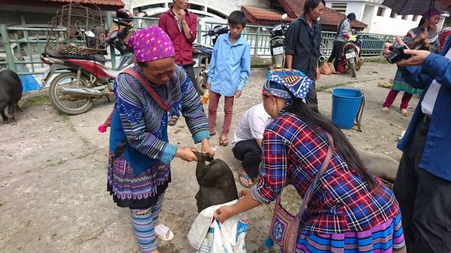 Hanoi: 2-Day Sa Pa Guided Village & Homestay Trekking Tour - My final call on the two-day route