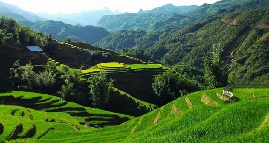 Hanoi: 2-Day Sa Pa Guided Village & Homestay Trekking Tour - Day one: Y Linh Ho to Lao Chai and Ta Van