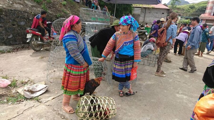 Hanoi: 2-Day Sa Pa Guided Village & Homestay Trekking Tour - Food, money, and what the $84 covers