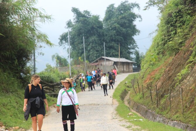 Hanoi - Sapa 3 Day 2 Night Trekking With Hotel & Homestay - Who should book this Sapa tour?