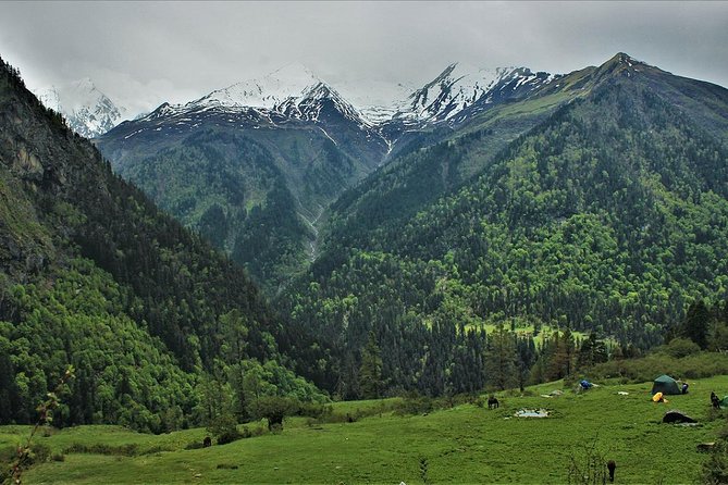 Har Ki dun Trek by Himalaya Shelter - Day 1: Dehradun to Sankri, an eight-hour road day