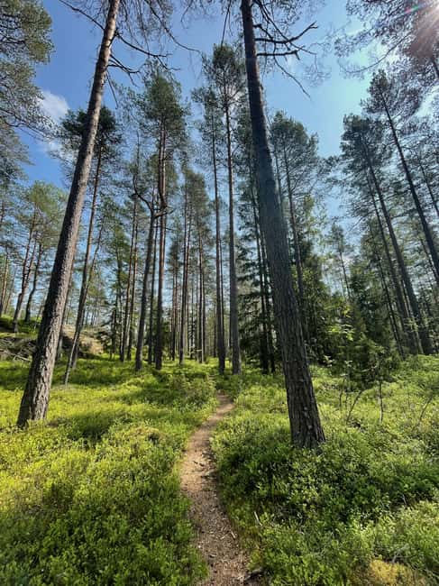 Helsinki: Nuuksio National park hiking with campfire lunch - Who should book this hike?