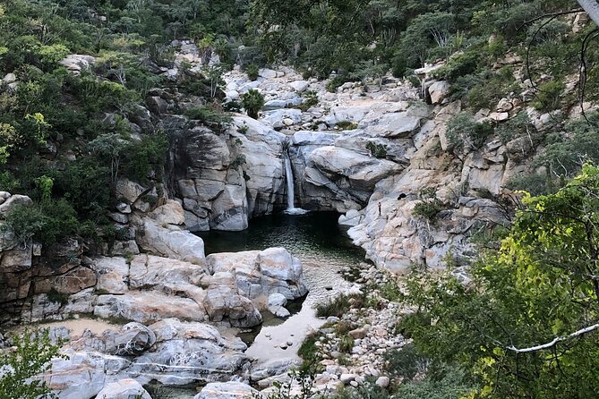 Hidden Waterfalls Hiking Adventure - Why this Cabo day trip earns a place on your schedule