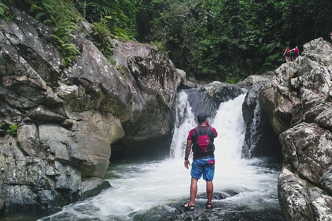 Hike El Yunque Rainforest and Kayak Bio Bay Combo Tour - What this El Yunque and bio bay day is really like