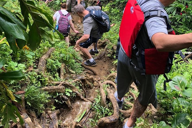 Hike El Yunque Rainforest and Kayak Bio Bay Combo Tour - Lunch and the long middle of the day