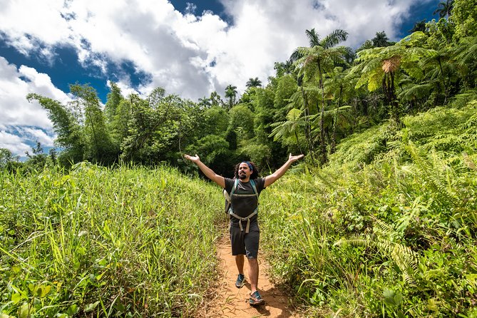 Hike El Yunque Rainforest and Kayak Bio Bay Combo Tour - Darkness, mosquitoes, and practical comfort