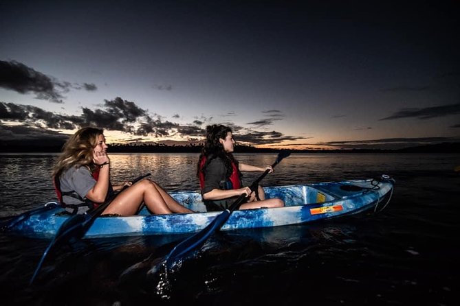 Hike El Yunque Rainforest and Kayak Bio Bay Combo Tour - How good is the value at $172?