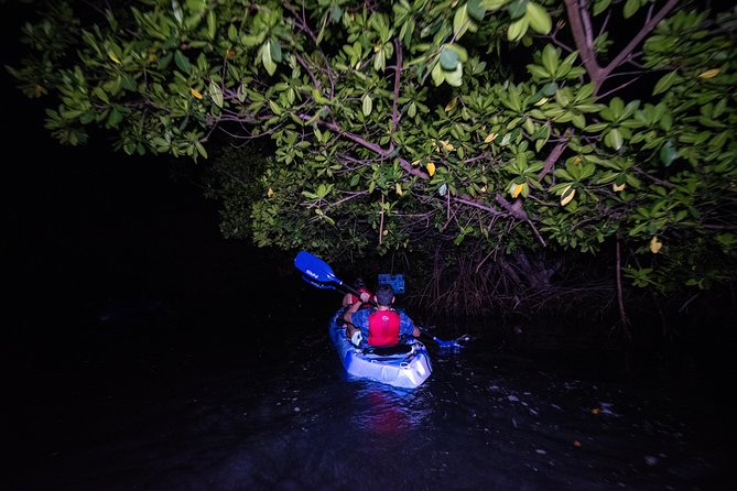 Hike El Yunque Rainforest and Kayak Bio Bay Combo Tour - Down the rocky river trail in El Yunque