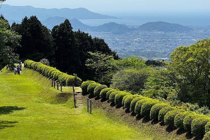 Hike Japan Heritage Hakone Hachiri with certified mountain guide - The Hakone Checkpoint and a local lunch