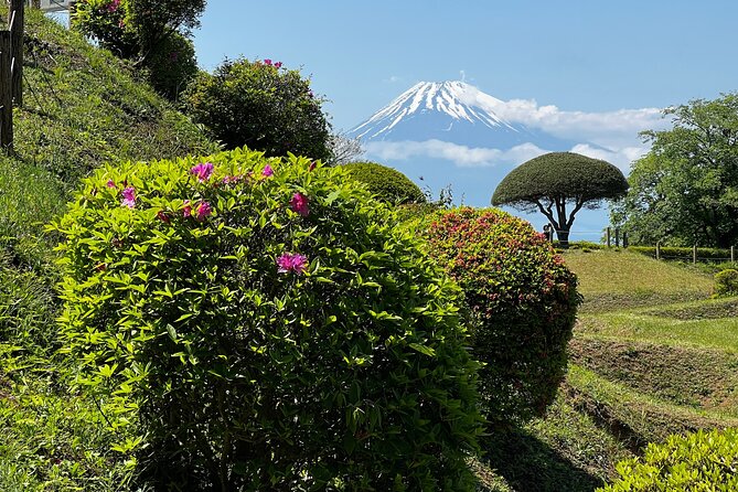 Hike Japan Heritage Hakone Hachiri with certified mountain guide - A bus connection to the Shizuoka side