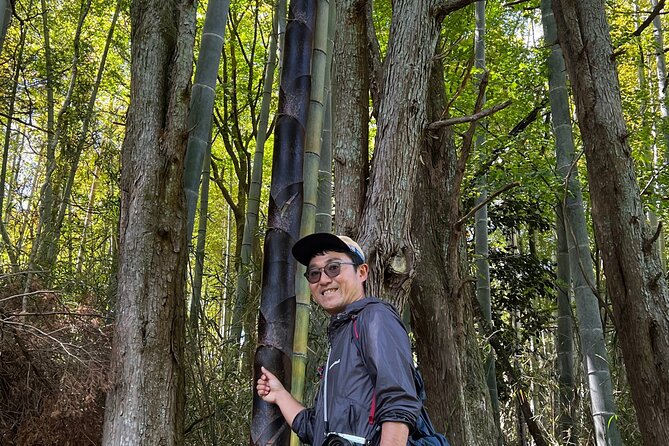 Hike Japan Heritage Hakone Hachiri with certified mountain guide - Yamanaka Castle Ruins and changing Fuji views
