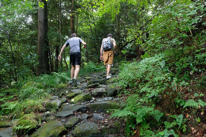 Hike Japan Heritage Hakone Hachiri with certified mountain guide - What the guide adds to the day