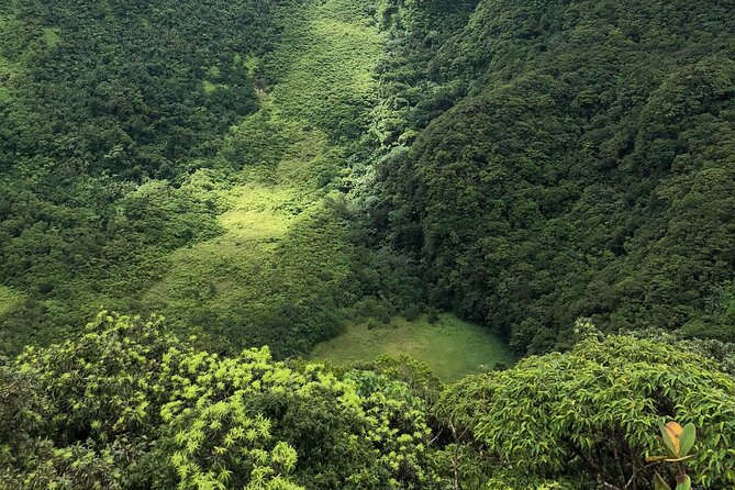Hike St. Kitts: Highest peak Mount Liamuiga Volcano - The descent is not an easy finish