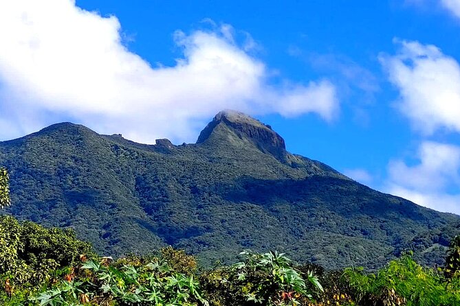 Hike St. Kitts: Highest peak Mount Liamuiga Volcano - What you receive for $109.99