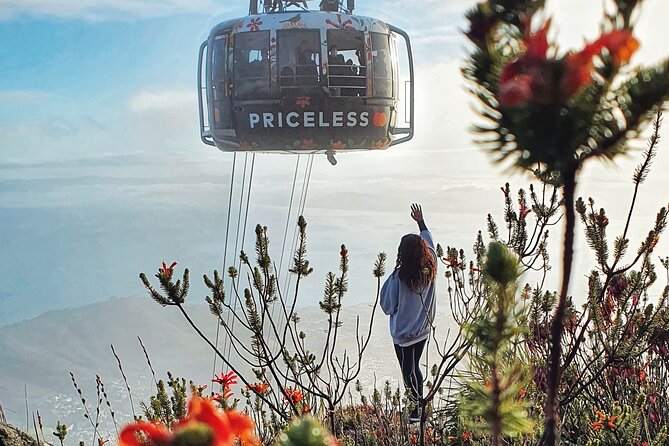 Hike Table Mountain with a Guide - Choose Route - How much value do you get for $65?