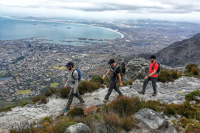 Hike Table Mountain with a Guide - Choose Route - Who should book this hike?