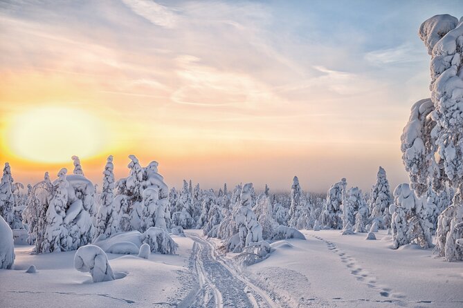 Hike to Frozen Waterfalls of Korouoma Including BBQ Lunch from Rovaniemi - Guides can shape the whole day