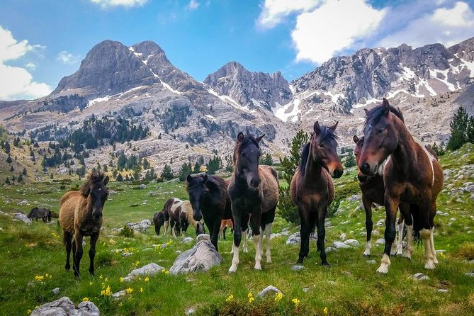 Hiking between Bosnia and Herzegovina - Five days across Bosnia’s Via Dinarica