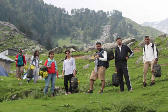 Hiking Day Tour to Triund from Dharamshala - Walking beneath oak, rhododendron, and deodar