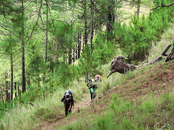 Hiking Day Tour to Triund from Dharamshala - The demanding climb to Triund