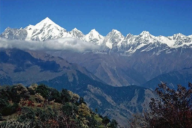 Hiking Day Tour to Triund from Dharamshala - Reaching the open ridge at Triund