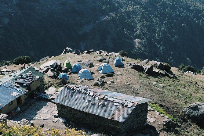 Hiking Day Tour to Triund from Dharamshala - What the guides add to the day