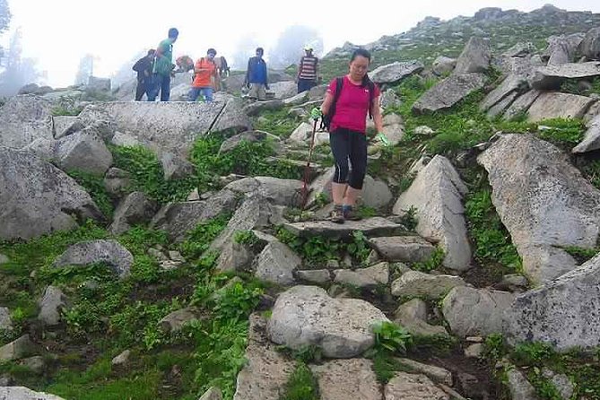 Hiking Day Tour to Triund from Dharamshala - Starting at McLeod Ganj or Gallu Devi Temple