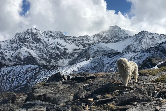 Hiking experience in the High Sierra Nevada National Park - Leaving Granada for the high mountains