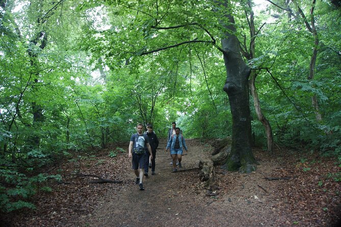 Hiking in Budapest - What the four-hour route is really like