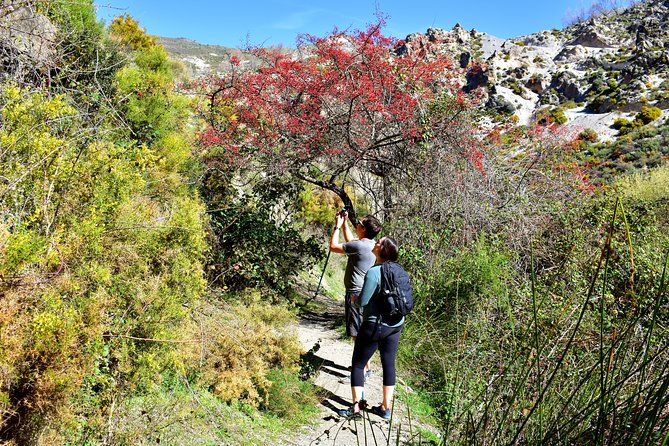 Hiking in the Canyon of the Monachil Cubs in Granada - Why Los Cahorros makes a good break from Granada