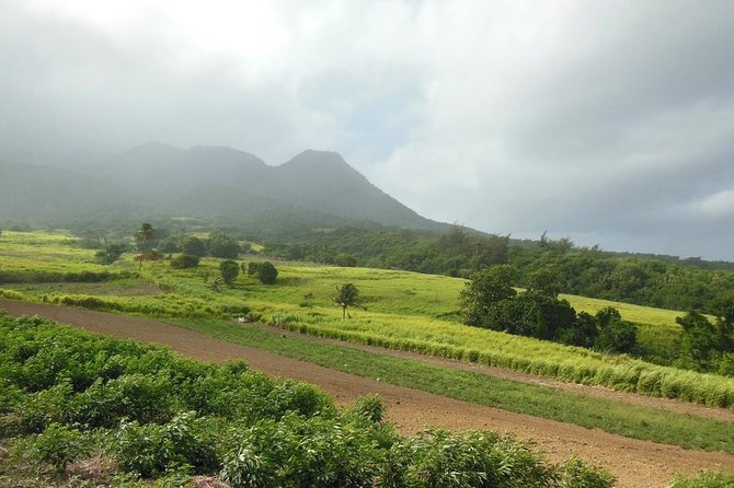 Hiking Mount Liamuiga Volcano in St Kitts - A real volcano climb, not a rainforest stroll