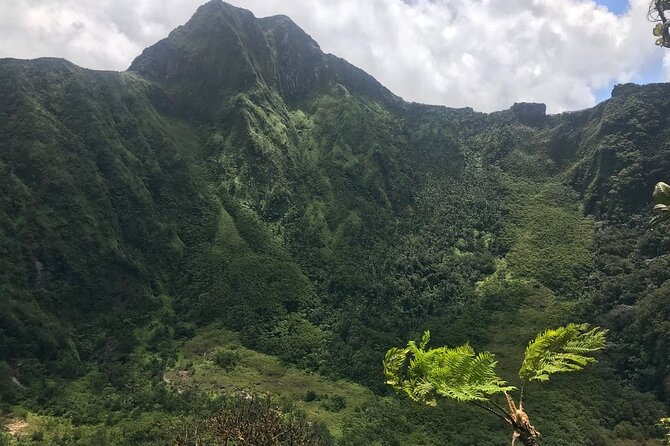 Hiking Mount Liamuiga Volcano in St Kitts - What the trail feels like underfoot