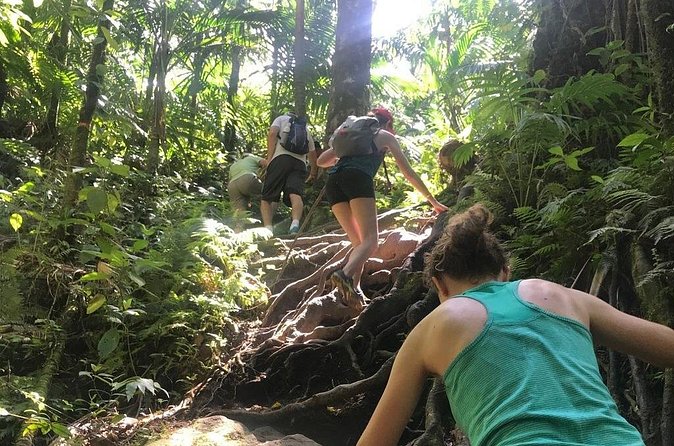 Hiking Mount Liamuiga Volcano in St Kitts - What makes the guides important