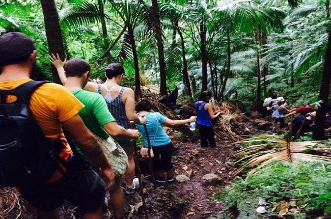 Hiking Mount Liamuiga Volcano in St Kitts - Is the $100 price good value?