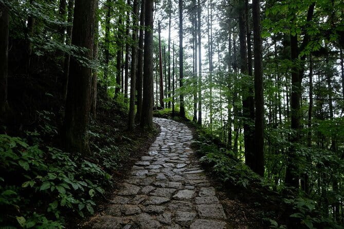 Hiking the Historic Nakasendo Trail [1 Day Tour from Nagoya] - Why this old road makes a fine day trip from Nagoya