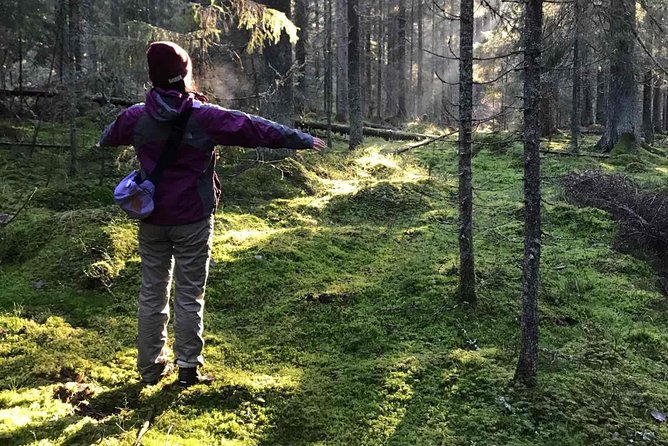 Hiking tour in Nuuksio National Park with meal and snacks - Why this half-day forest trip works so well