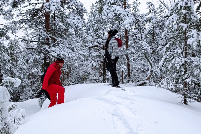 Hiking tour in Nuuksio National Park with meal and snacks - Walking the Nuuksio trails