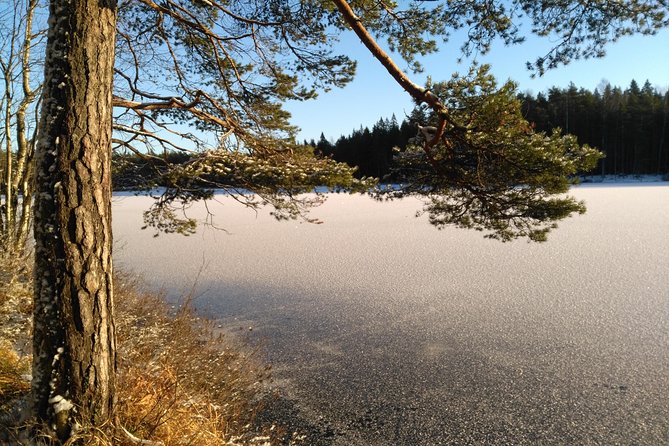 Hiking tour in Nuuksio National Park with meal and snacks - Glögi, berry tea, and a forest meal