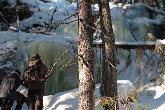 Hiking tour in Nuuksio National Park with meal and snacks - The right shoes matter more than fancy equipment